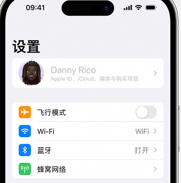 宣化appleID维修服务iPhone设置中Apple ID显示为灰色无法使用 