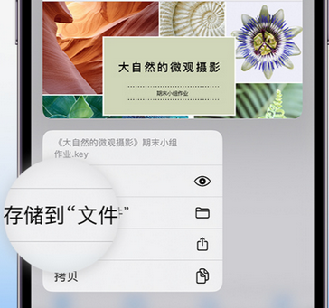 宣化apple维修中心分享iPhone文件应用中存储和找到下载文件
