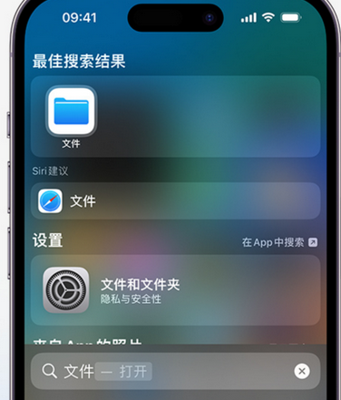 宣化apple维修中心分享iPhone文件应用中存储和找到下载文件 