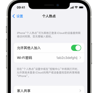 宣化apple服务站点分享iPhone上个人热点丢失了怎么办 