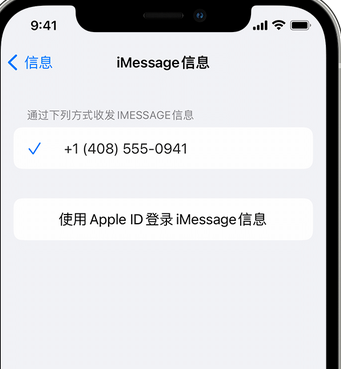 宣化apple维修iPhone上无法正常发送iMessage信息 