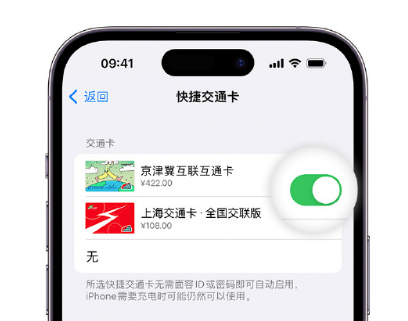 宣化apple维修点分享iPhone上更换Apple Pay快捷交通卡手绘卡面 