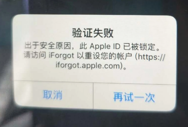 宣化iPhone维修分享iPhone上正常登录或使用AppleID怎么办 