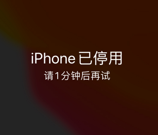 宣化苹果手机维修分享:iPhone 显示“不可用”或“已停用”怎么办？还能保留数据吗？ 