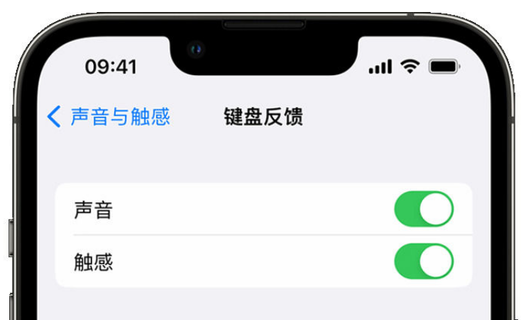 宣化苹果手机维修分享iPhone 14触感键盘使用方法 