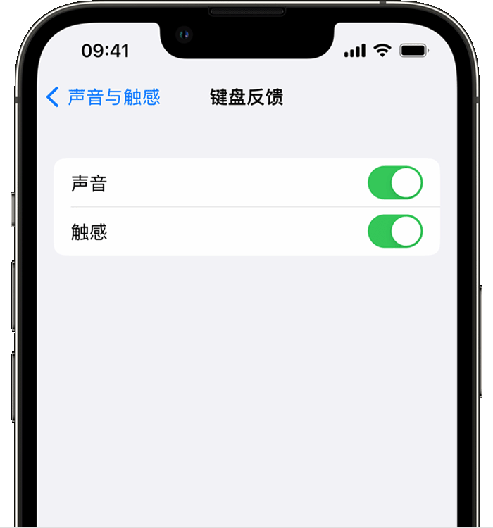 宣化苹果14维修店分享如何在 iPhone 14 机型中使用触感键盘 