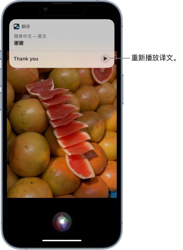 宣化苹果14维修分享 iPhone 14 机型中使用 Siri：了解 Siri 能帮你做什么 