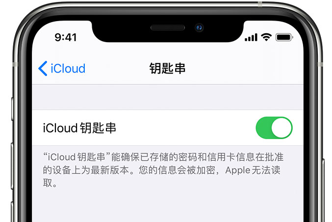 宣化苹果手机维修分享在 iPhone 上开启 iCloud 钥匙串之后会储存哪些信息 