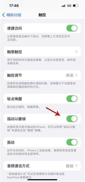 宣化苹果手机维修分享iPhone手机如何设置摇一摇删除文字 