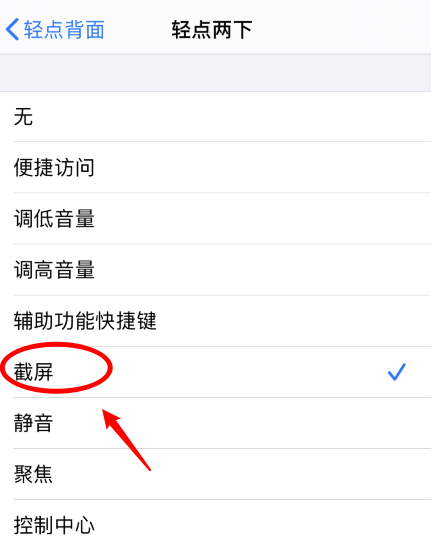 宣化苹果手机维修分享iPhone12如何启用双击截屏 